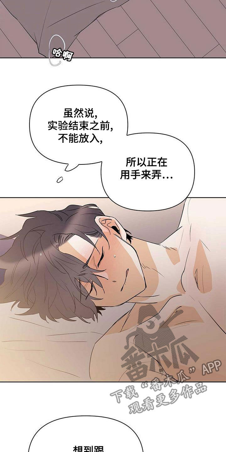 《命运指引》第104章【第二季】让实验失败 第14页