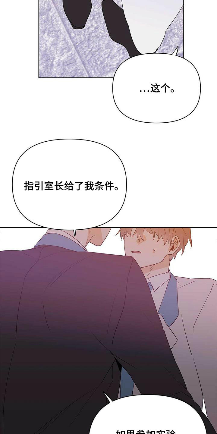 《命运指引》第102章【第二季】真正需要的 第4页