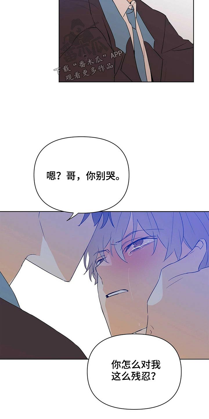 《命运指引》第101章【第二季】申请 第16页