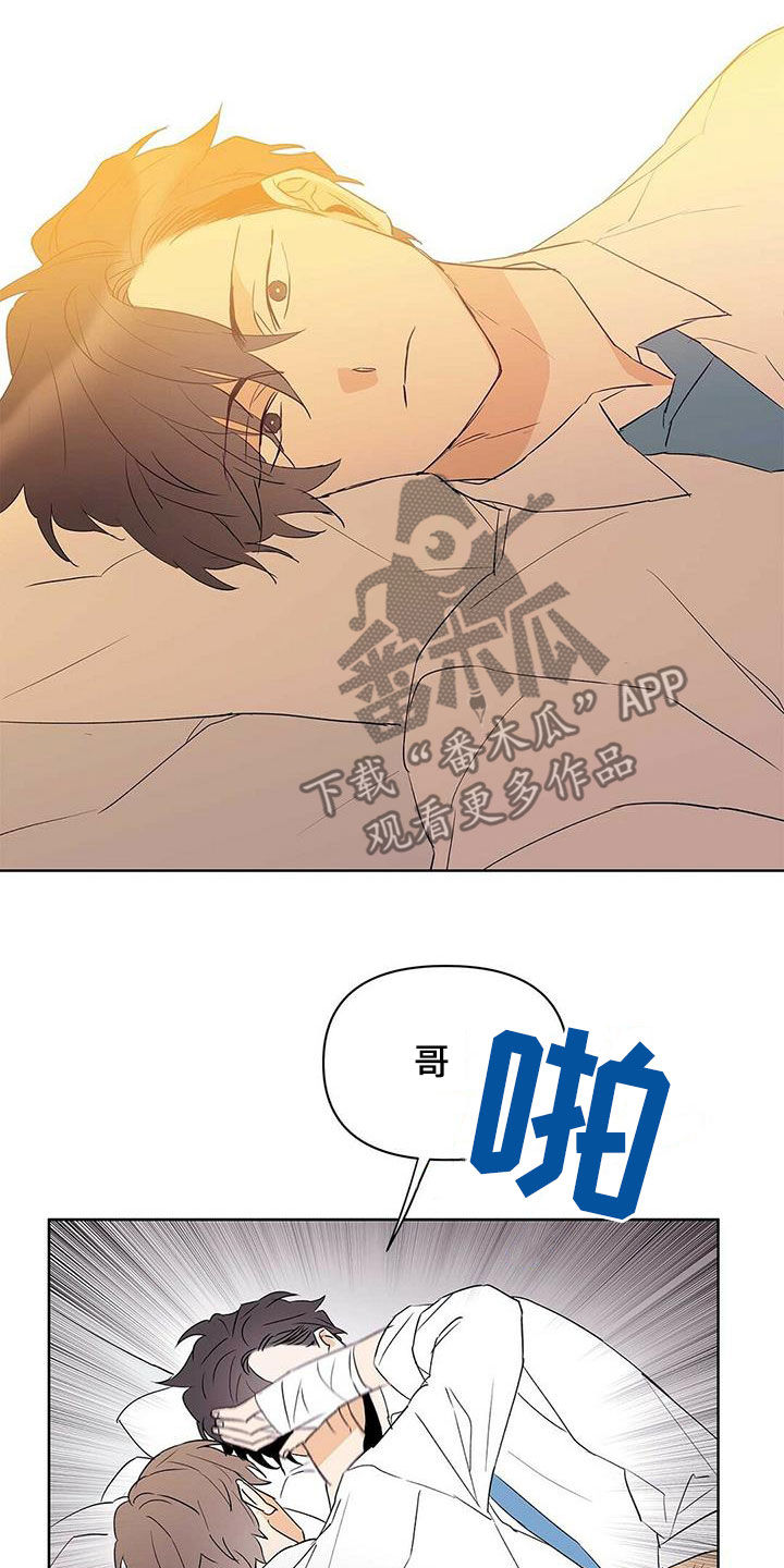 《命运指引》第98章【第二季】不相信但喜欢 第15页
