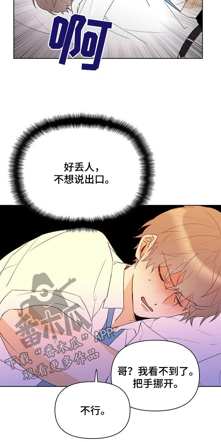 《命运指引》第98章【第二季】不相信但喜欢 第16页
