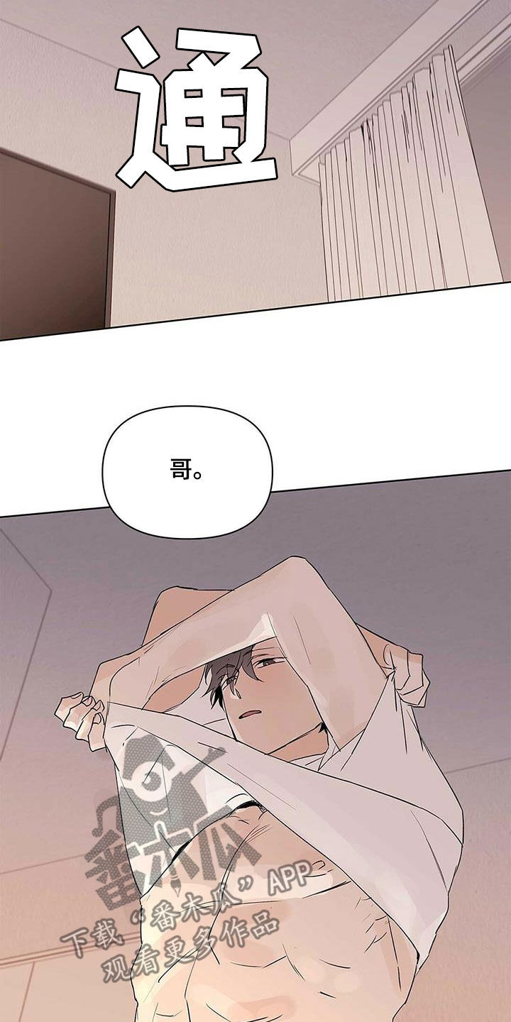 《命运指引》第93章【第二季】故意的 第19页
