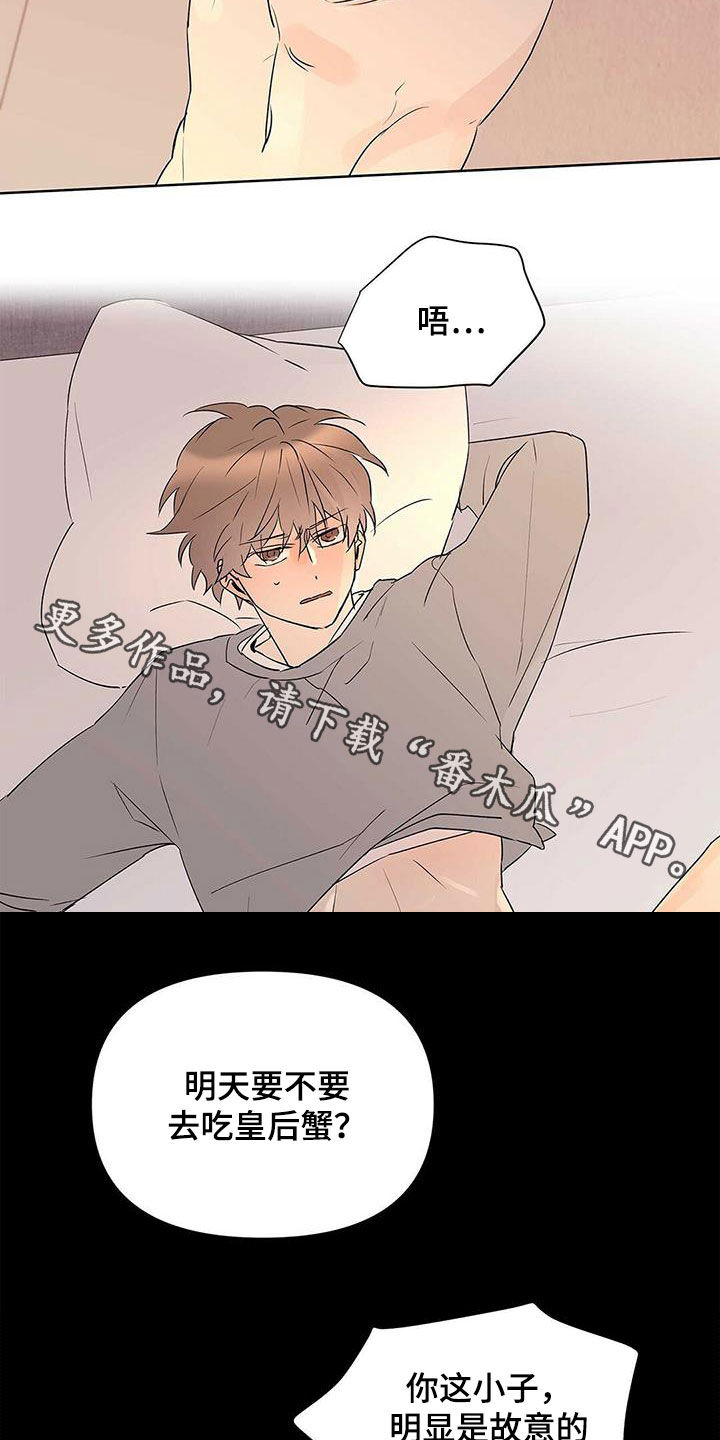 《命运指引》第93章【第二季】故意的 第20页