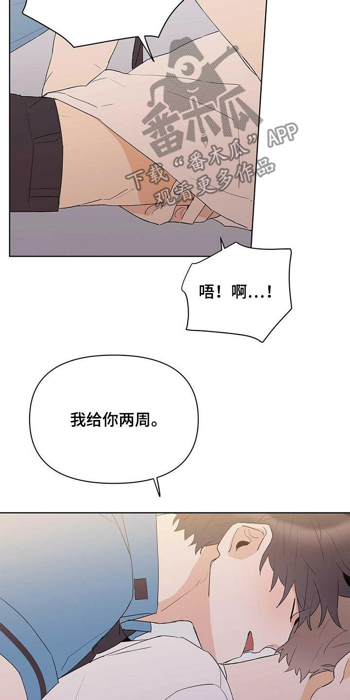 《命运指引》第80章【第二季】不能犯罪 第17页