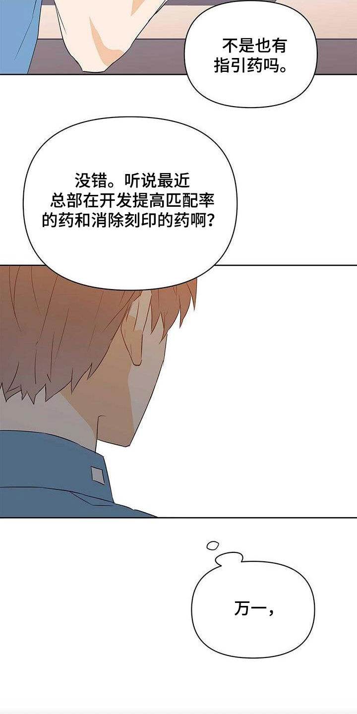 《命运指引》第74章【第二季】担忧 第17页