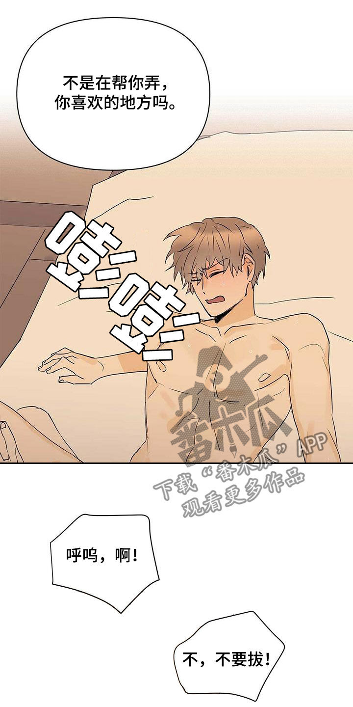 《命运指引》第77章【第二季】听话 第10页
