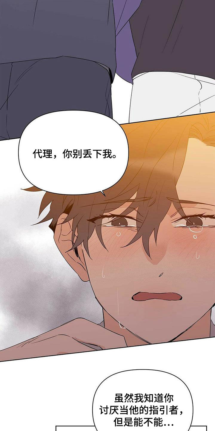 《命运指引》第69章骗的彻底 第8页