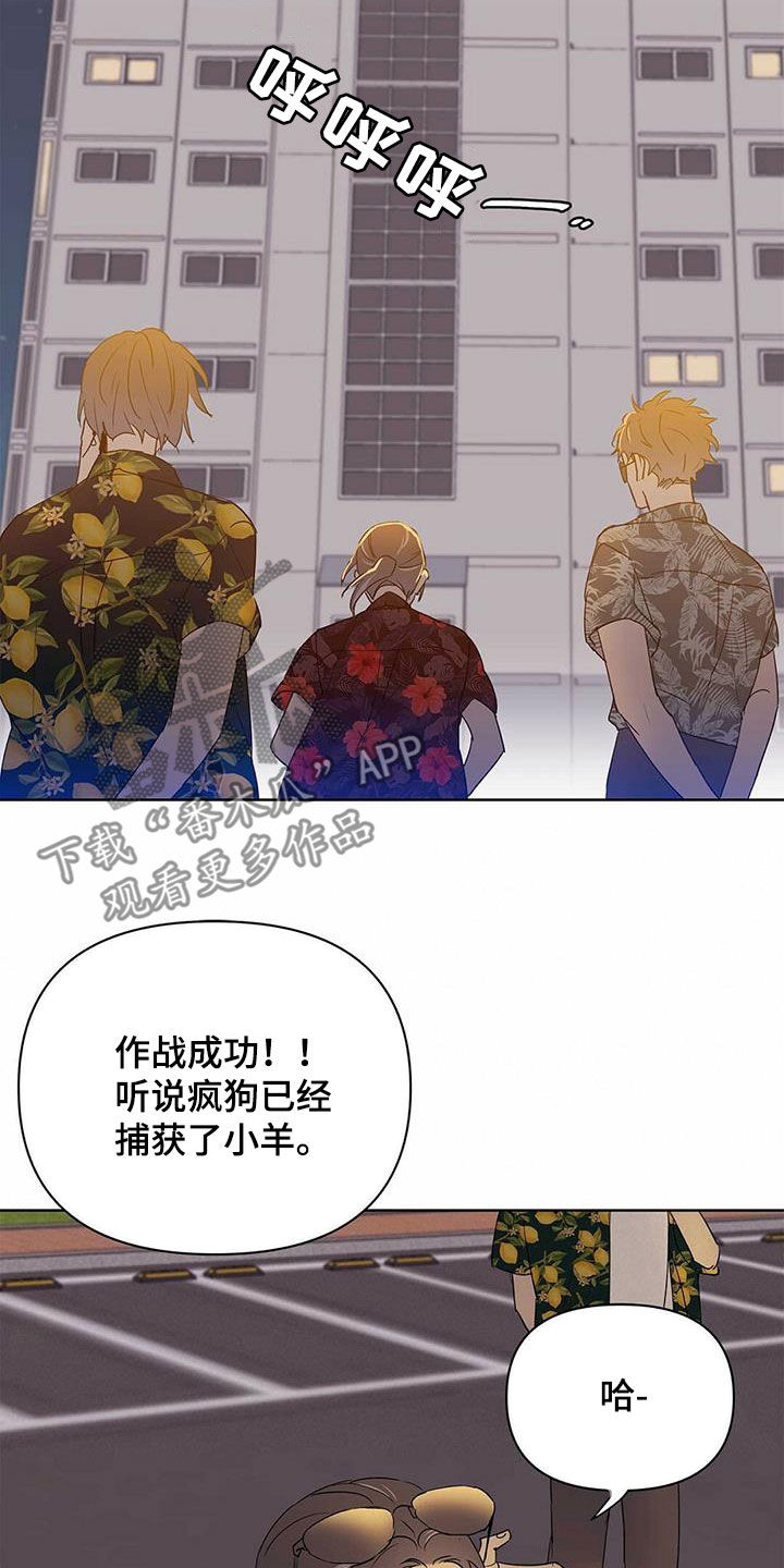 《命运指引》第71章作战成功（第一季完结） 第14页