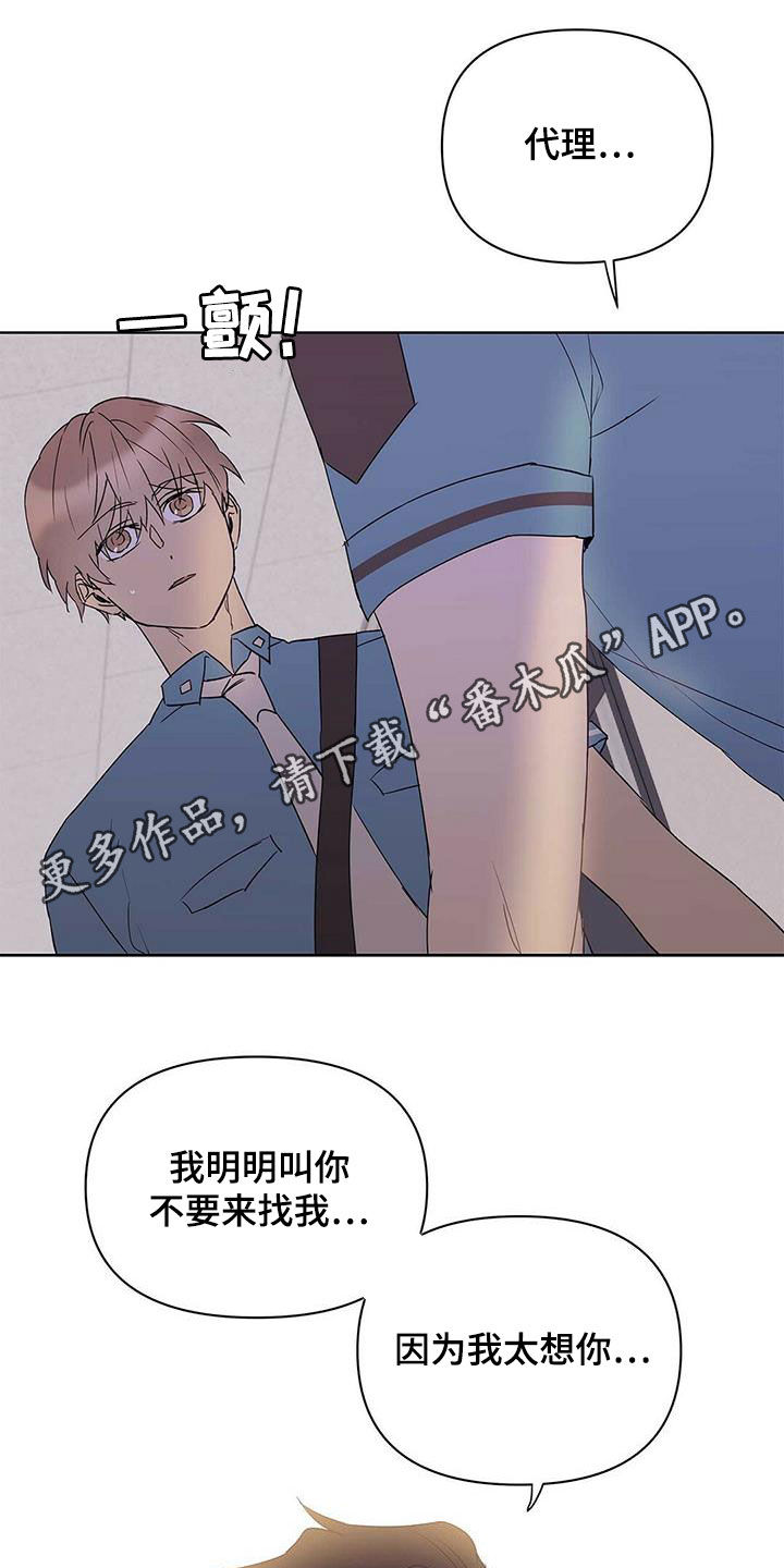《命运指引》第71章作战成功（第一季完结） 第1页