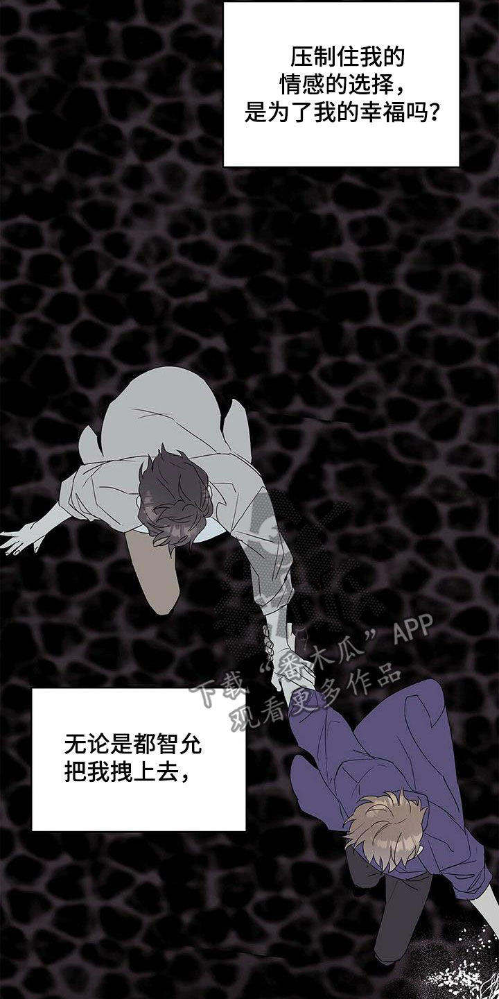 《命运指引》第71章作战成功（第一季完结） 第5页
