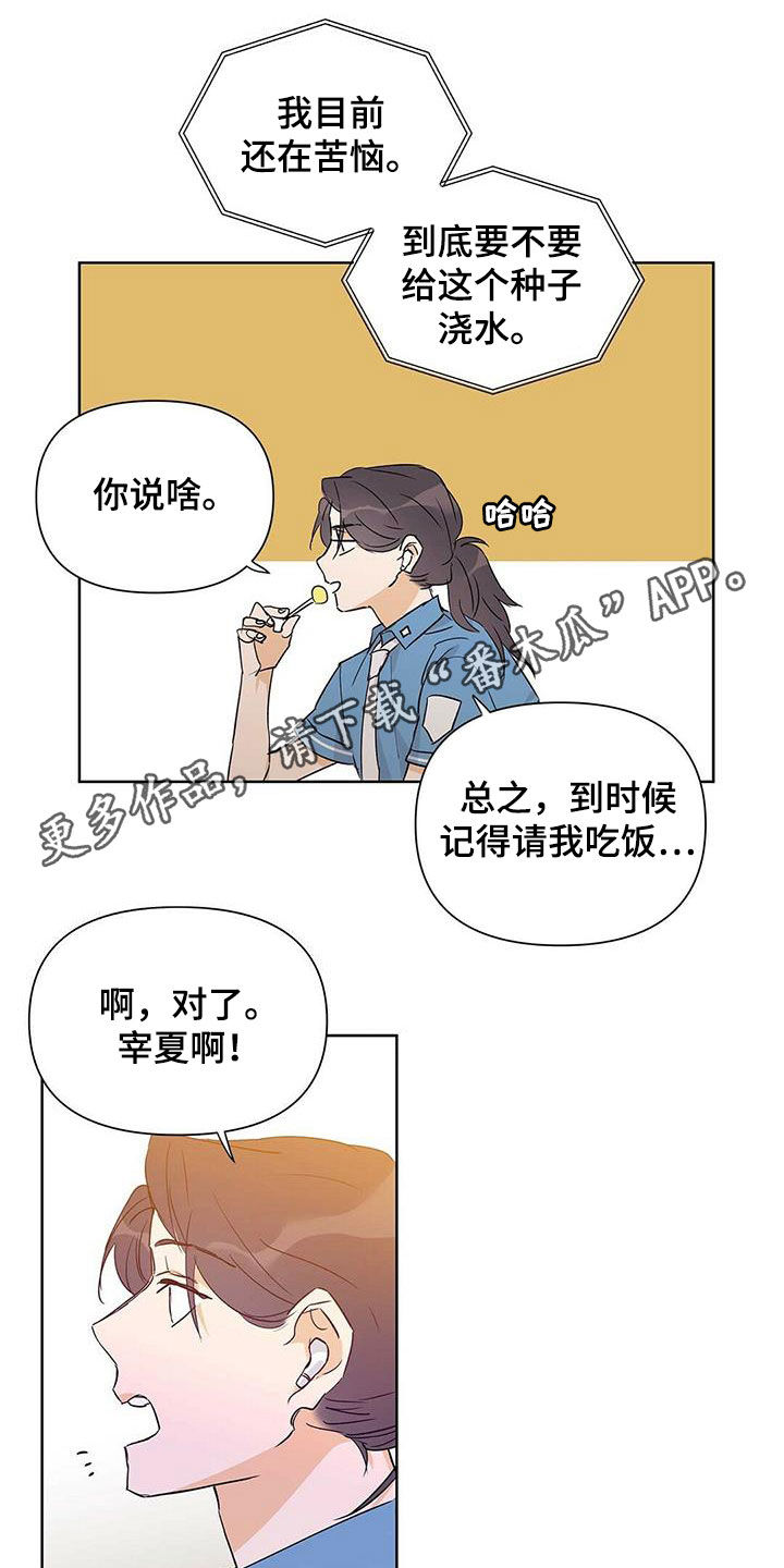 《命运指引》第61章打听 第1页