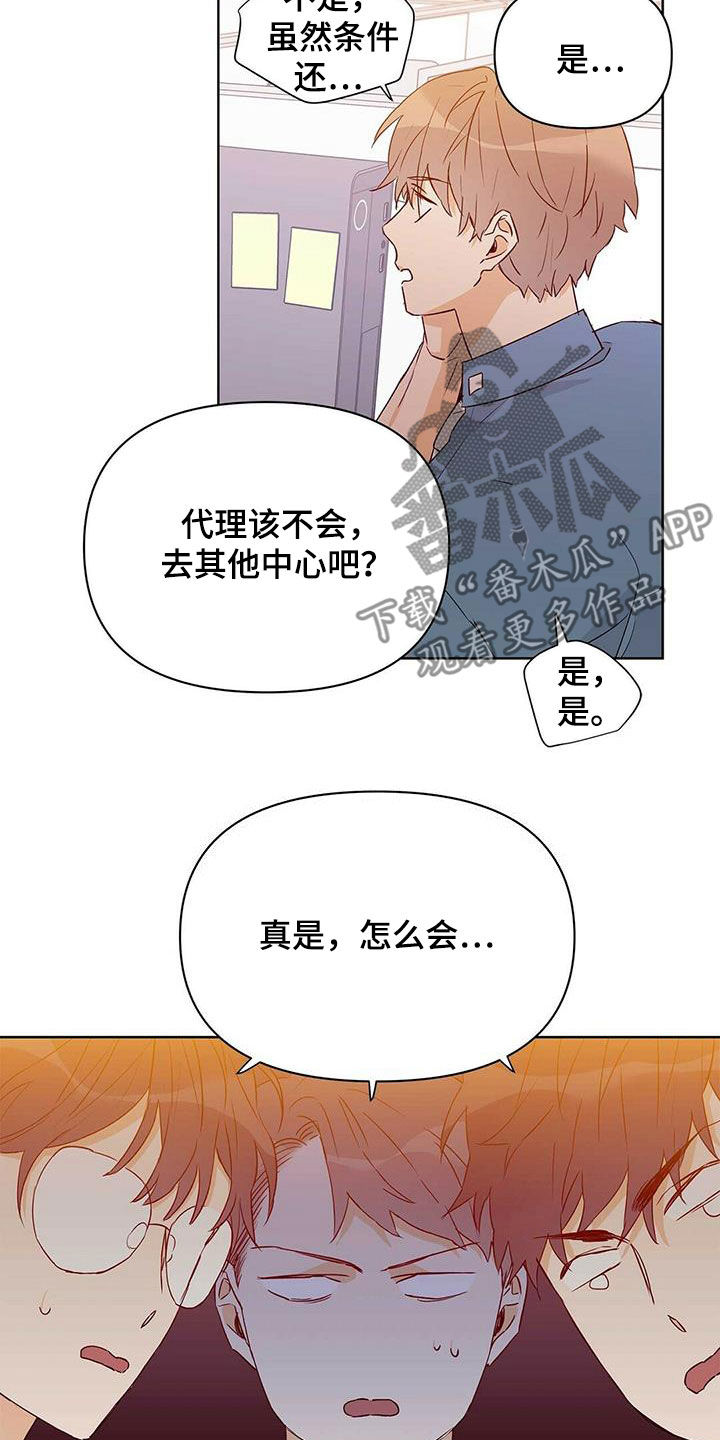 《命运指引》第62章挖墙脚 第13页