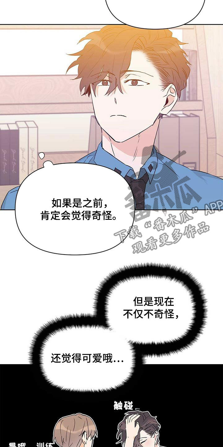 《命运指引》第62章挖墙脚 第3页