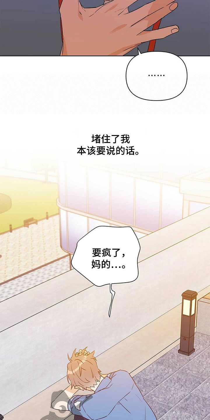 《命运指引》第63章感情 第12页
