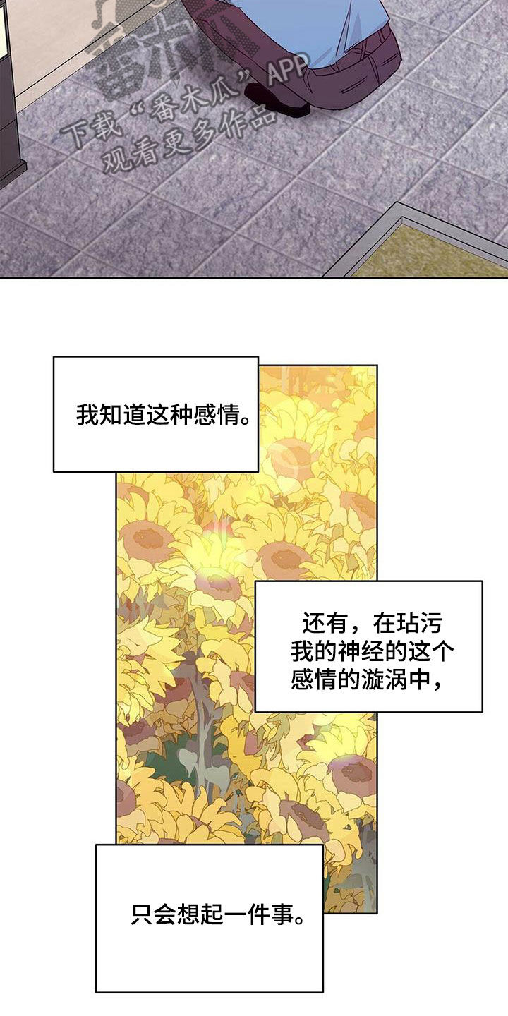 《命运指引》第63章感情 第13页