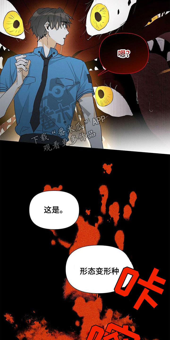 《命运指引》第54章八卦 第6页