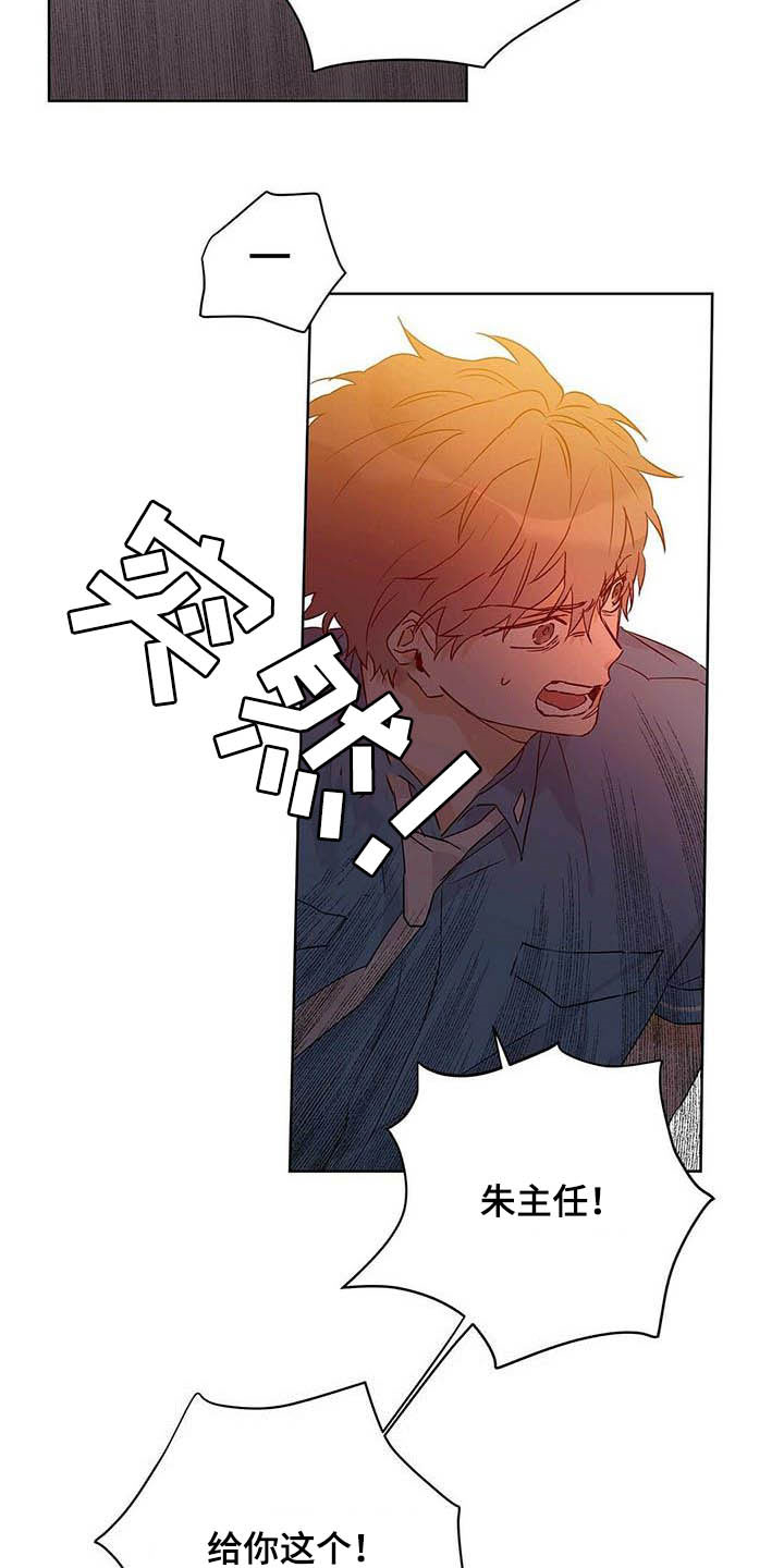《命运指引》第56章真英雄 第11页