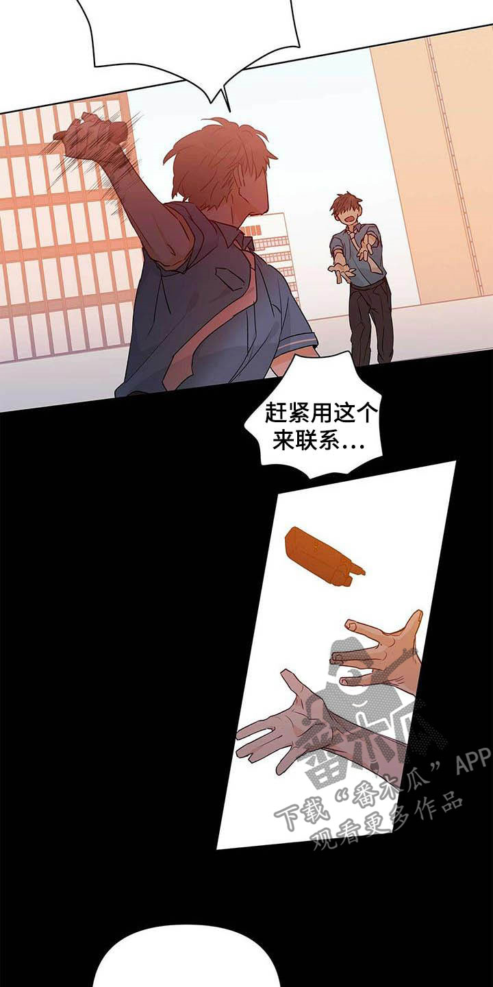 《命运指引》第56章真英雄 第12页