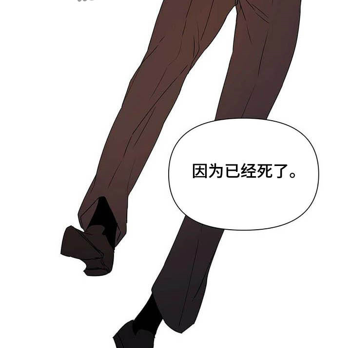 《命运指引》第56章真英雄 第21页