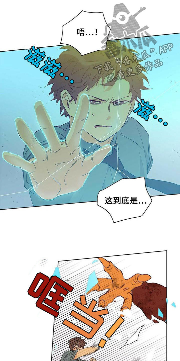 《命运指引》第55章变形种 第11页