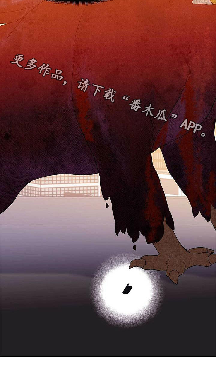 《命运指引》第55章变形种 第24页
