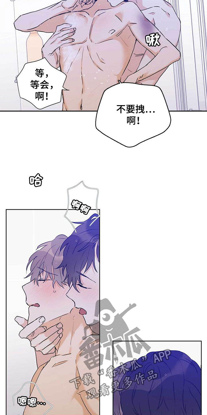 《命运指引》第58章装镜子 第15页