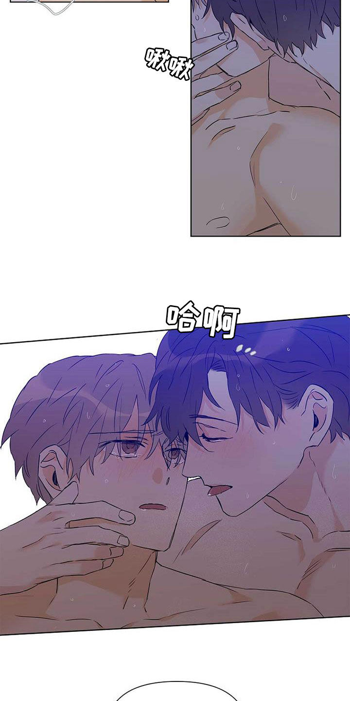 《命运指引》第58章装镜子 第16页