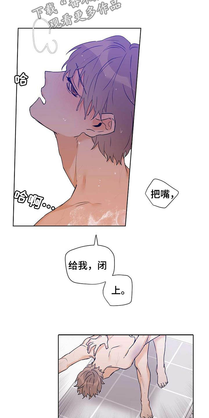 《命运指引》第58章装镜子 第18页