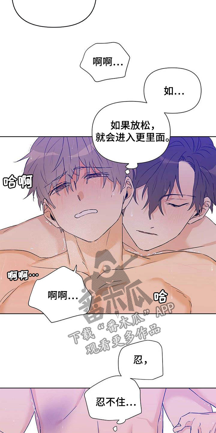 《命运指引》第58章装镜子 第25页