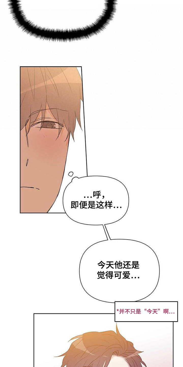 《命运指引》第58章装镜子 第3页