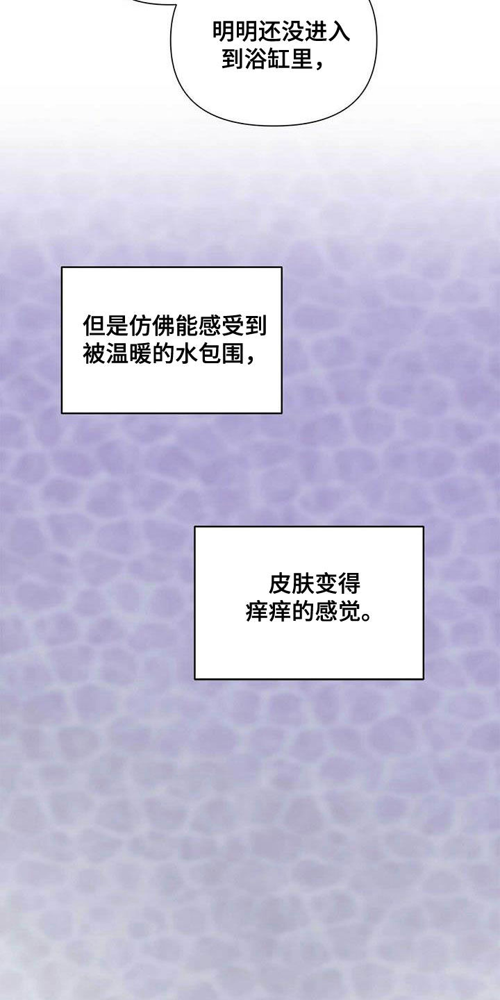 《命运指引》第58章装镜子 第8页