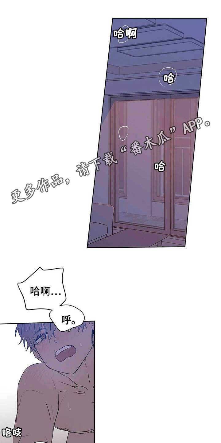 《命运指引》第46章没良心 第1页