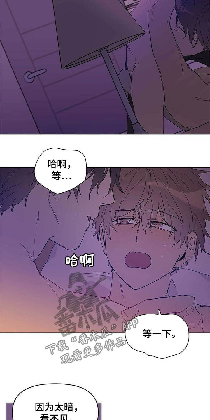 《命运指引》第43章紧急措施 第13页