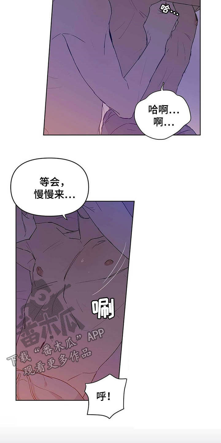 《命运指引》第43章紧急措施 第16页