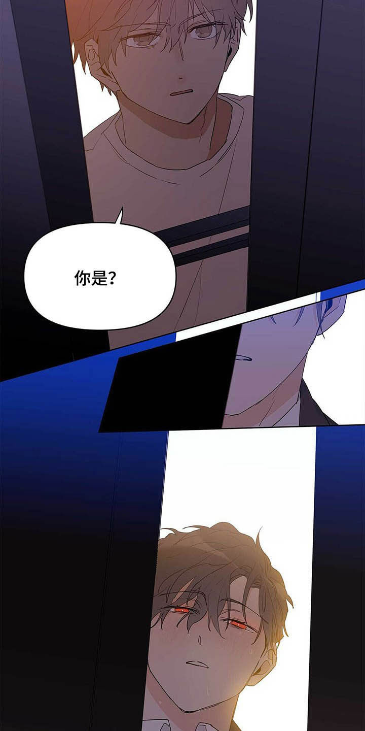 《命运指引》第42章紧拥 第17页