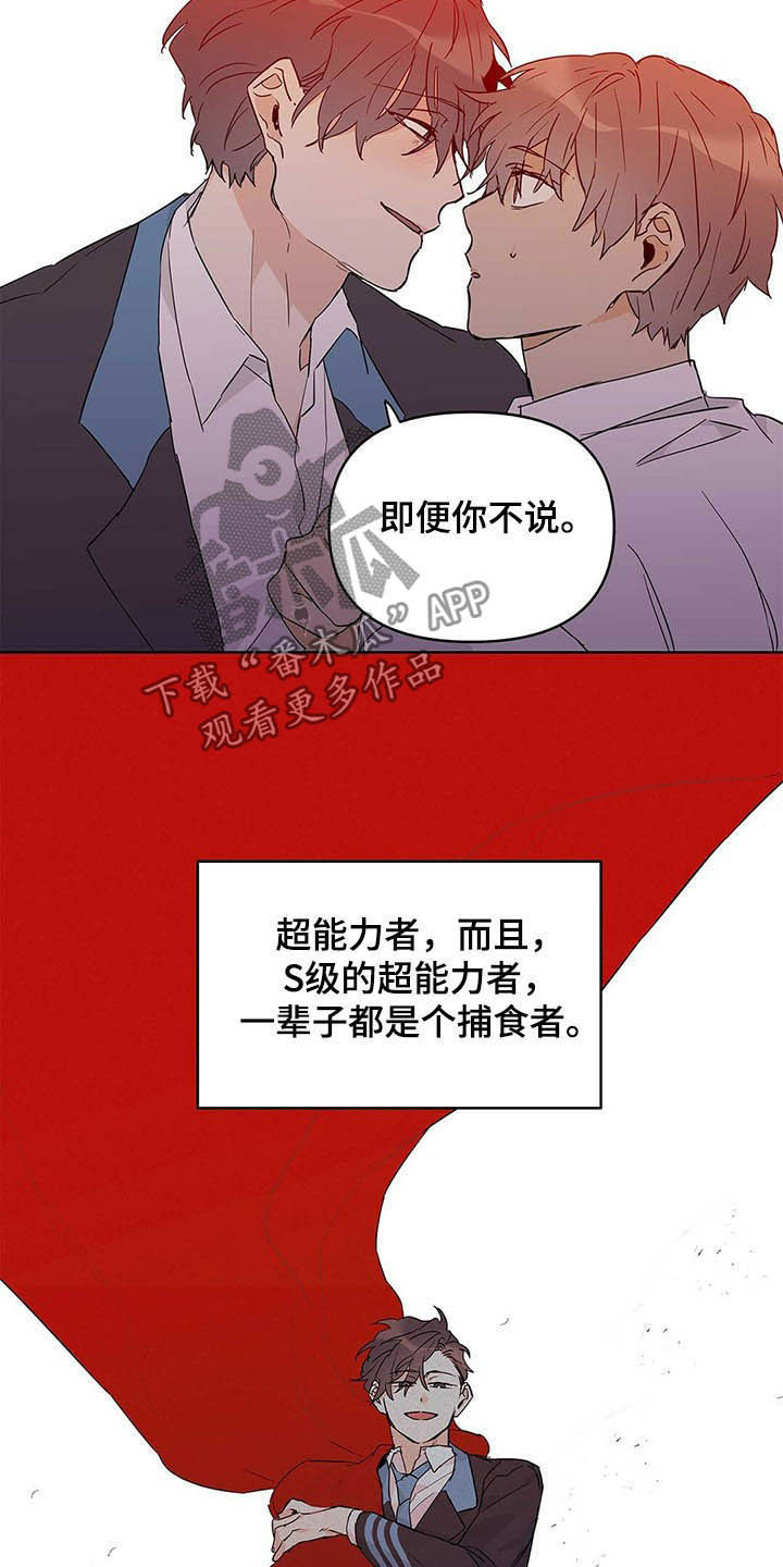 《命运指引》第40章不喜欢 第20页