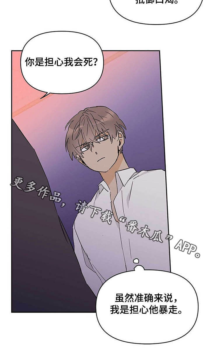 《命运指引》第38章担心 第19页