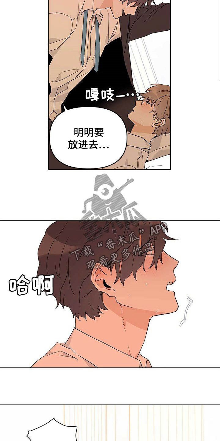 《命运指引》第36章道歉 第11页