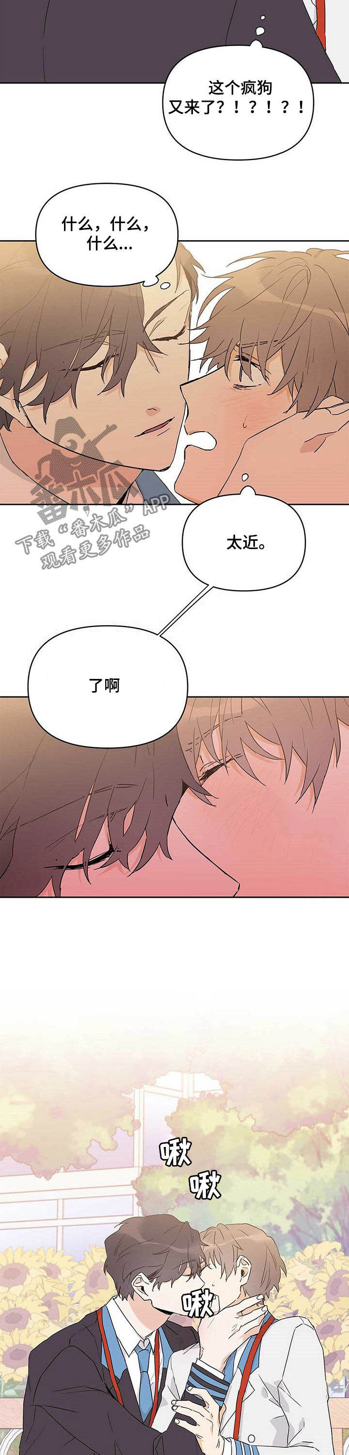 《命运指引》第30章有蚊子 第10页