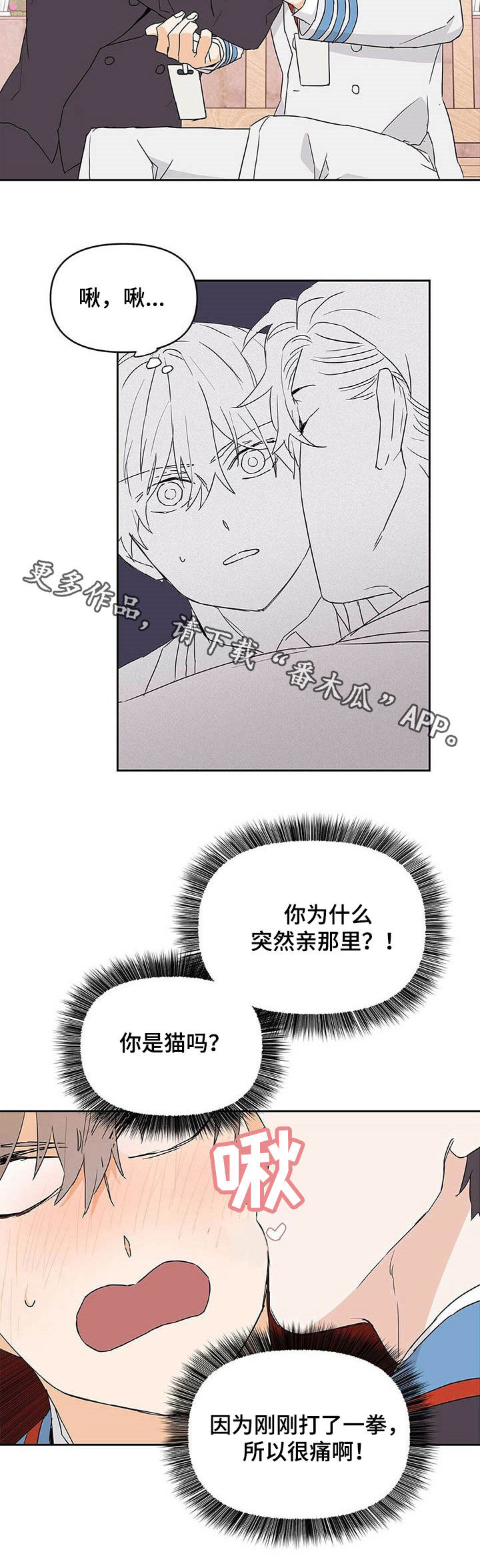 《命运指引》第30章有蚊子 第11页