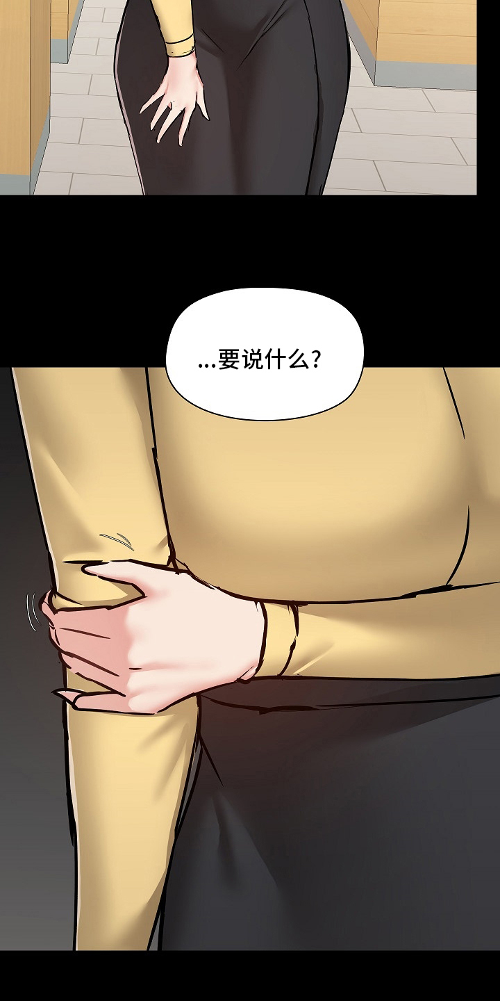 《极客玩家》第54章辞职 第17页