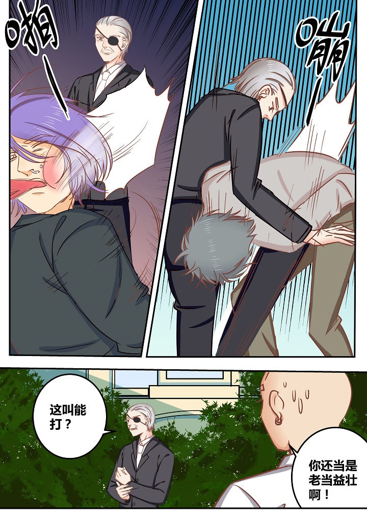 《女勇者的逆袭》第57章 第8页