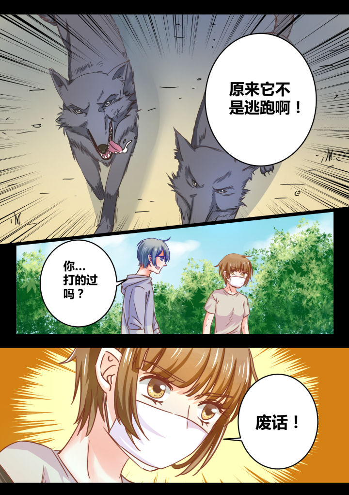 《女勇者的逆袭》第37章 第3页