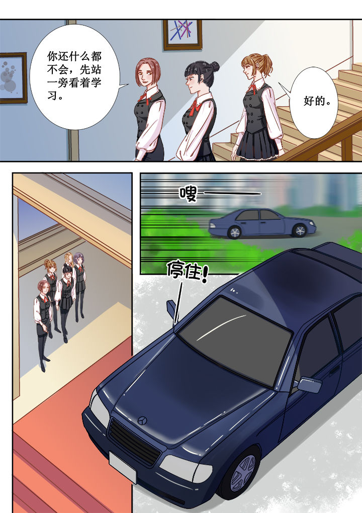 《女勇者的逆袭》第1章 第8页