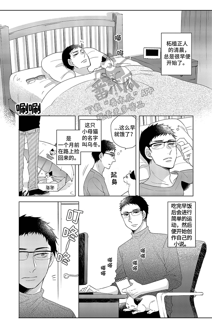《30岁成了魔法师》第14章【番外】也中魔法了 第1页