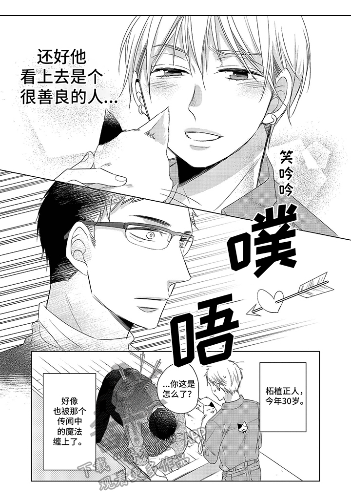 《30岁成了魔法师》第14章【番外】也中魔法了 第5页