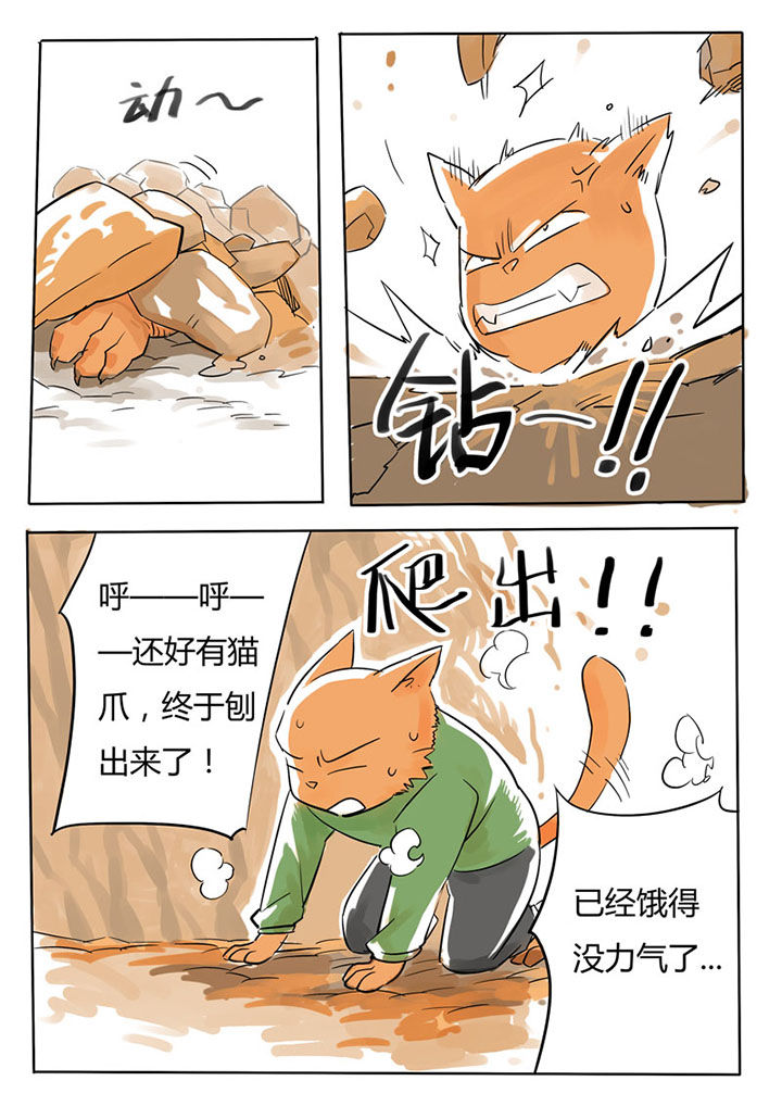 《胶囊战记》第62章 第2页