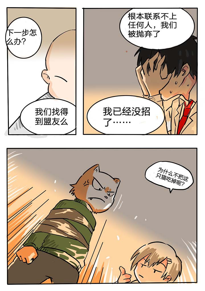 《胶囊战记》第53章 第3页