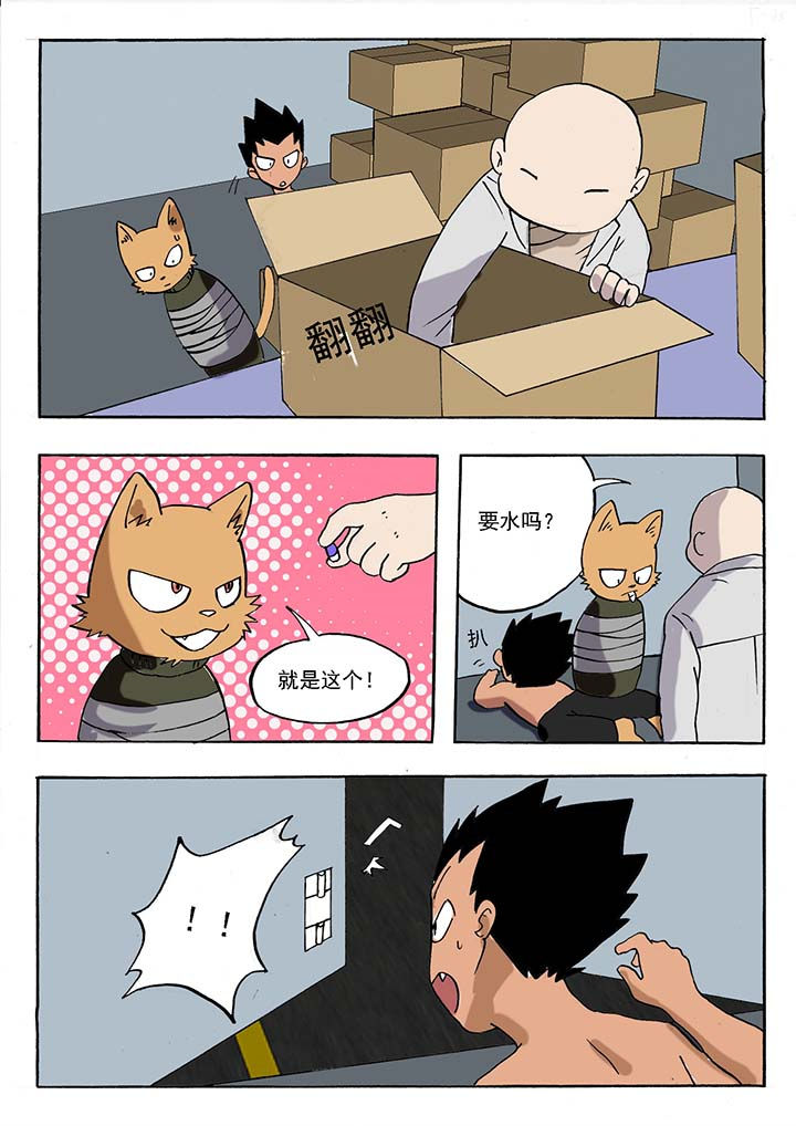 《胶囊战记》第50章 第8页