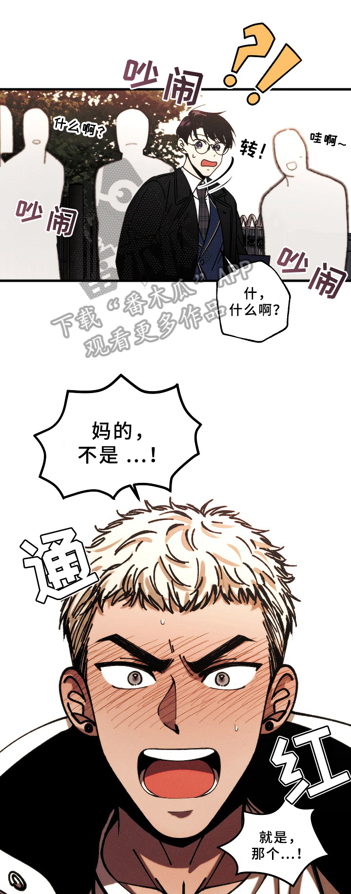 《盛夏已至》第17章喜欢 第11页